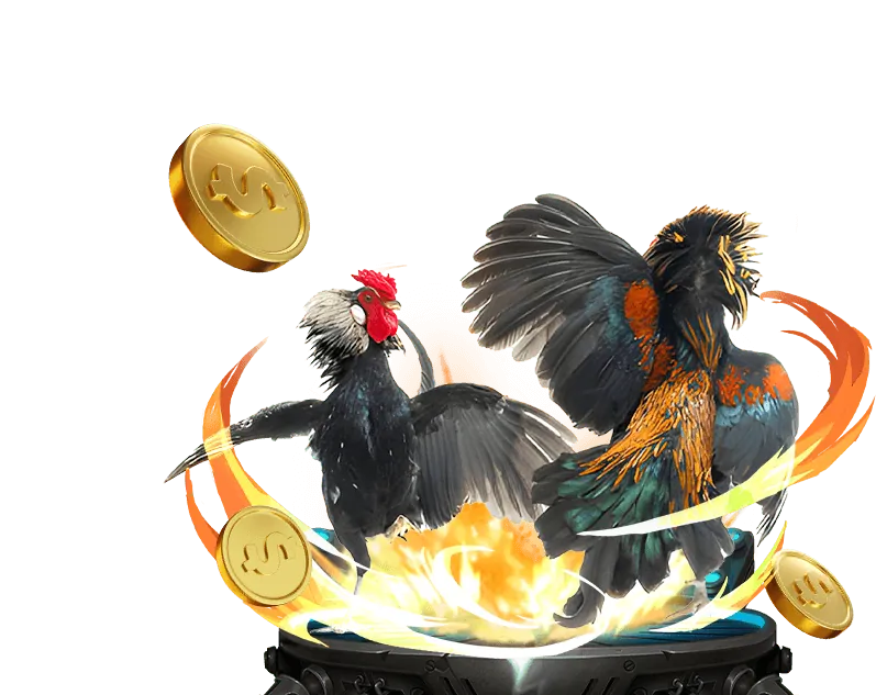 Hình ảnh cá cược thể thao trực tuyến tại bsport